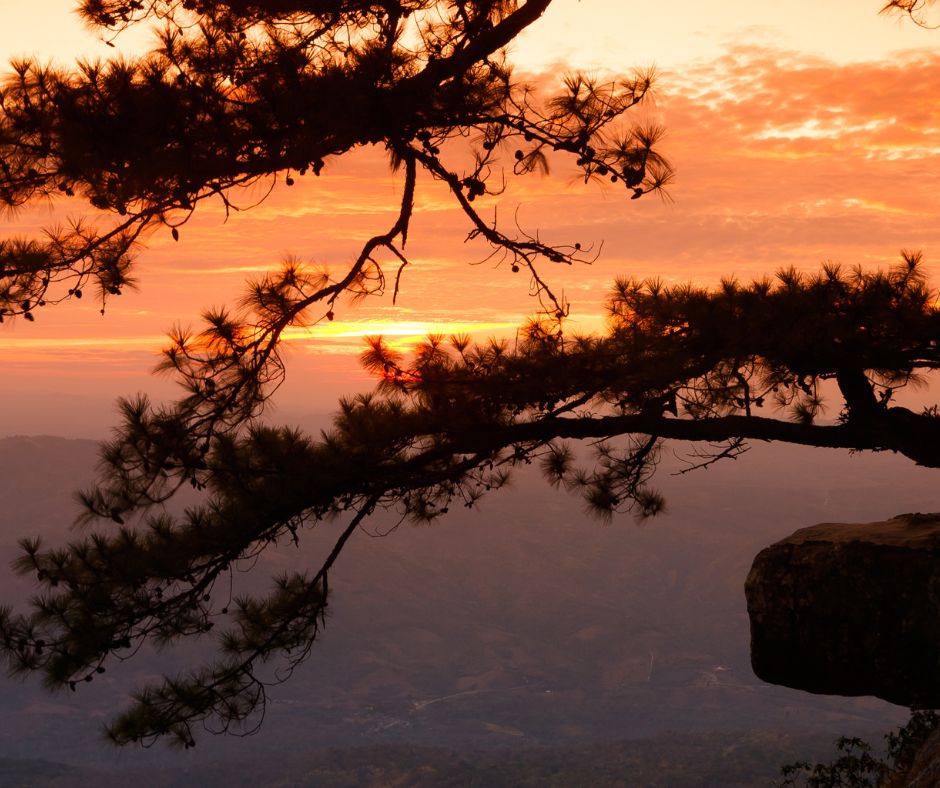เพื่อนพาเที่ยว คนนำเที่ยว - เพื่อนพาเที่ยวเมืองเลย เชียงคาน ภูเรือ ภูหลวง ภูกระดึง นาแห้ว ด่านซ้าย - 2