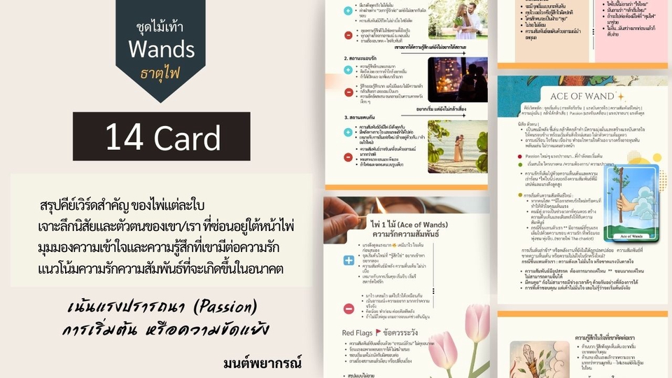 เรียนดูดวง - คู่มือสอนอ่านไพ่ทาโรต์ สำหรับผู้เริ่มต้น เจาะลึก “ความรัก–ความสัมพันธ์” อ่านเป็น ใช้ได้ทันที - 2