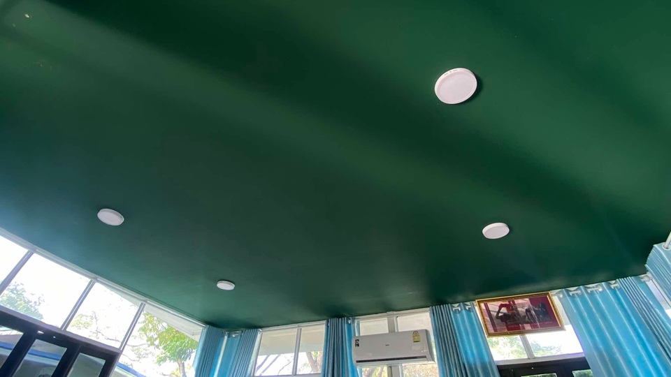 ฝ้าเขียวไข่กา