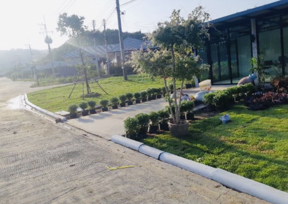 สวนหน้าบ้าน