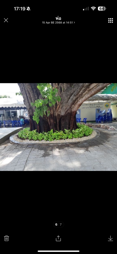 สวนล้อมต้นไม้ใหญ่