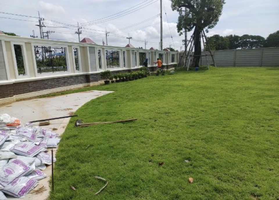 ปูหญ้าพร้อมปลูกต้นไม้