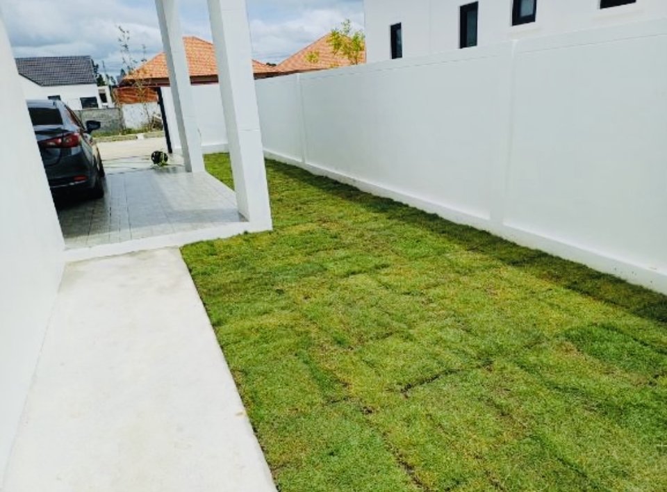 ปูหญ้าหน้าบ้าน