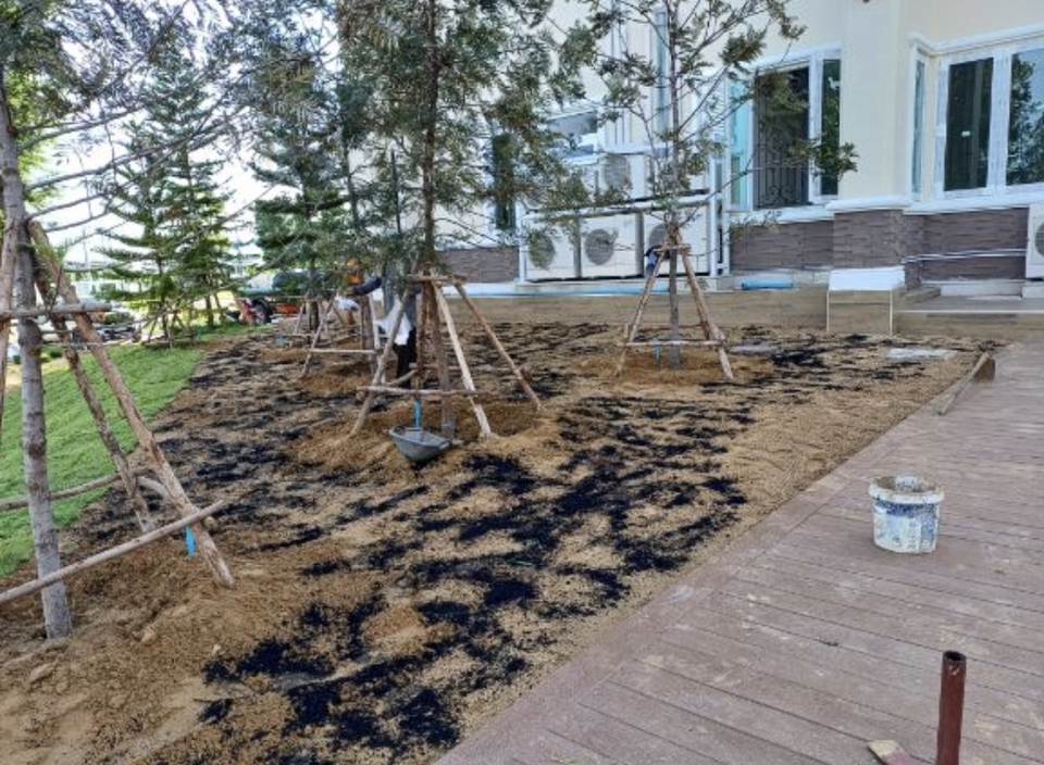 ปลูกต้นไม้ใหญ่