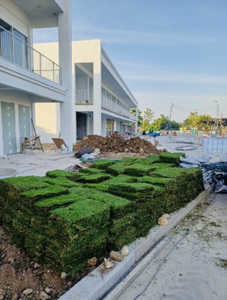ปูหญ้า บริเวณบ้าน อาคาร 