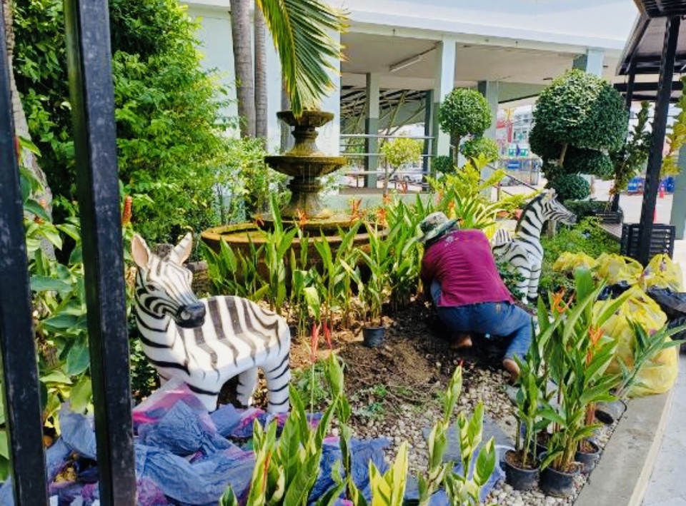 ตกแต่งสวน