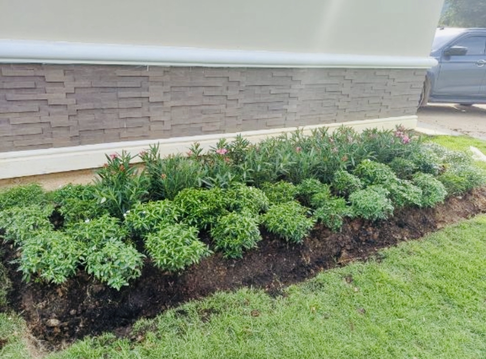 ไม้พุ่ม