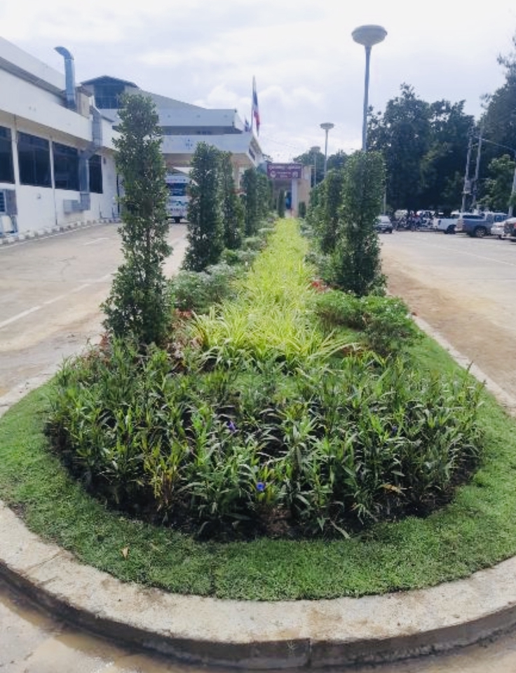 สวนเกาะกลาง