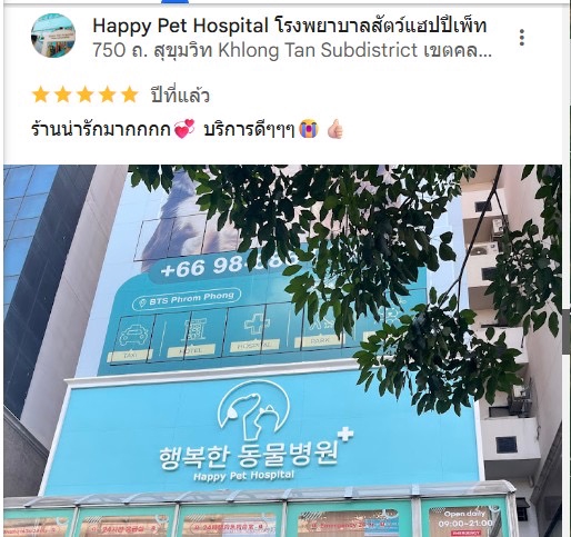 รับเขียนรีวิวโรงพยาบาลสัตว์ Happy Pet Hospital บริการดีเยี่ยม