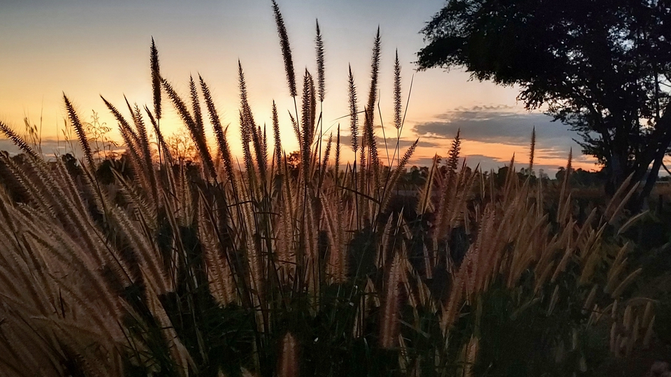 รับทำป้ายไฟนีออน ป้ายไฟLED ร้านทำป้ายโฆษณา ราคาถูก