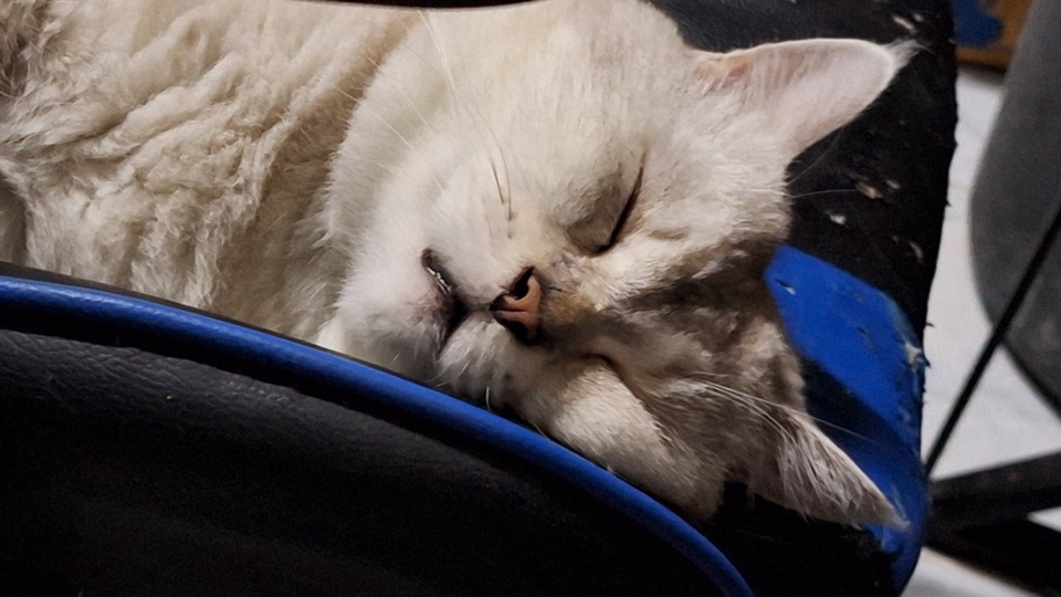 รับฟังปัญหา ปรึกษา พูดคุยเรื่องต่างๆ ทั้งหมดจะเป็นความลับ