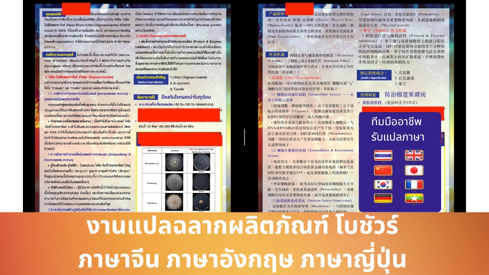 แปลฉลากจีน Thai translation chinese translation japanese translation, korean translation