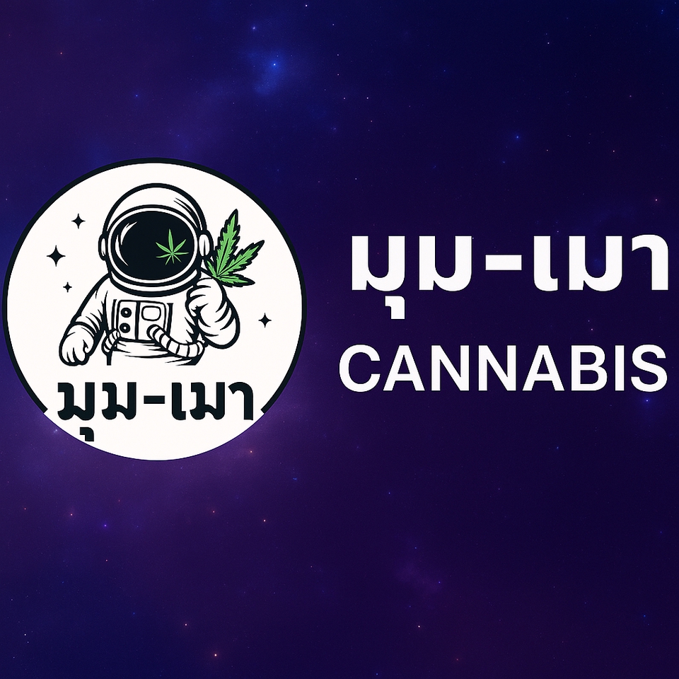 ทำโปสเตอร์ร้านขายกัญชาด้วยภาพนักบินอวกาศ ถือใบกัญชา พร้อมคำว่า มึนเมา และ Cannabis, สั่งทำโปสเตอร์ติดผนัง พิมพ์โปสเตอร์ราคาถูก รับทำโปสเตอร์ ปริ้นโปสเตอร์ราคาถูก ออกแบบโปสเตอร์ โปสเตอร์โฆษณา.