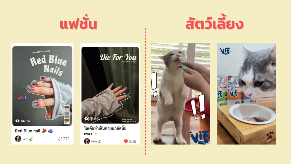 เน็ตไอดอลและบล็อกเกอร์รีวิว - รับรีวิวสินค้า - 4