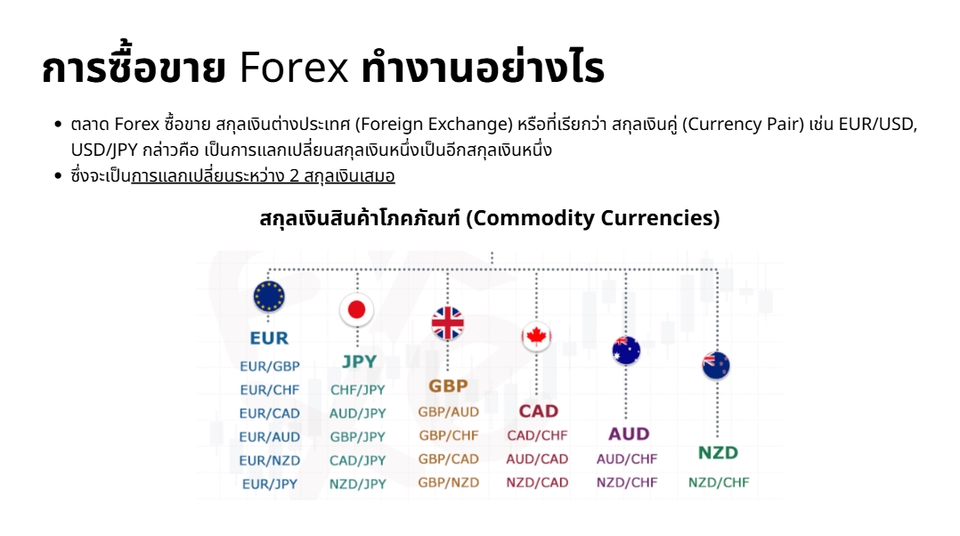 สอนเทรด forex มือใหม่ เรียนเทรด forex คู่สกุลเงิน