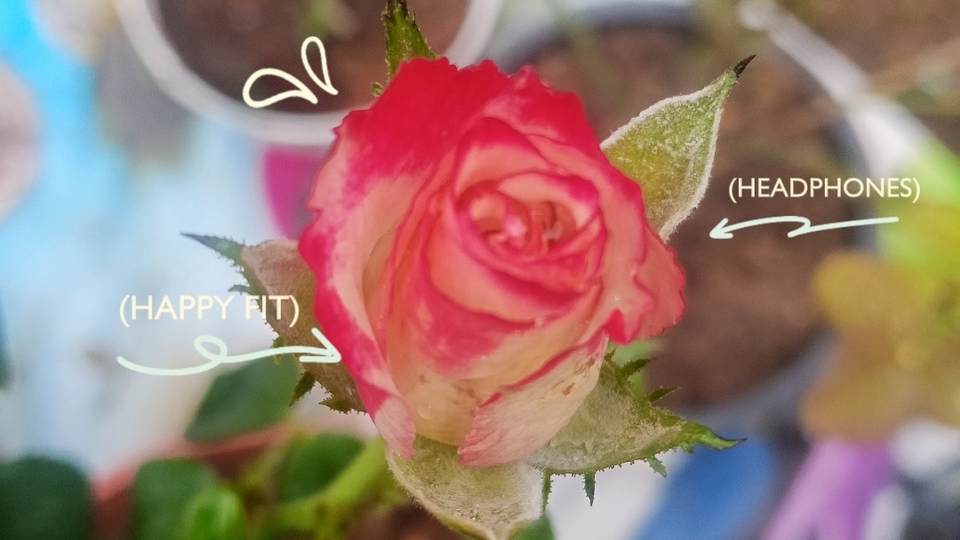 รับพิมพ์งานด่วน รับคีย์ข้อมูล ทำ excel รายงาน