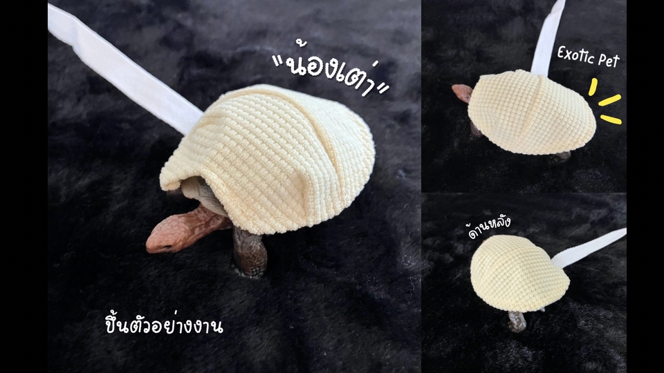 รับตัดเย็บเสื้อผ้า - ตัดเย็บเสื้อผ้าสัตว์เลี้ยง หมา,แมว,Exotic Pet สั่งตัดตามไซส์ - 3