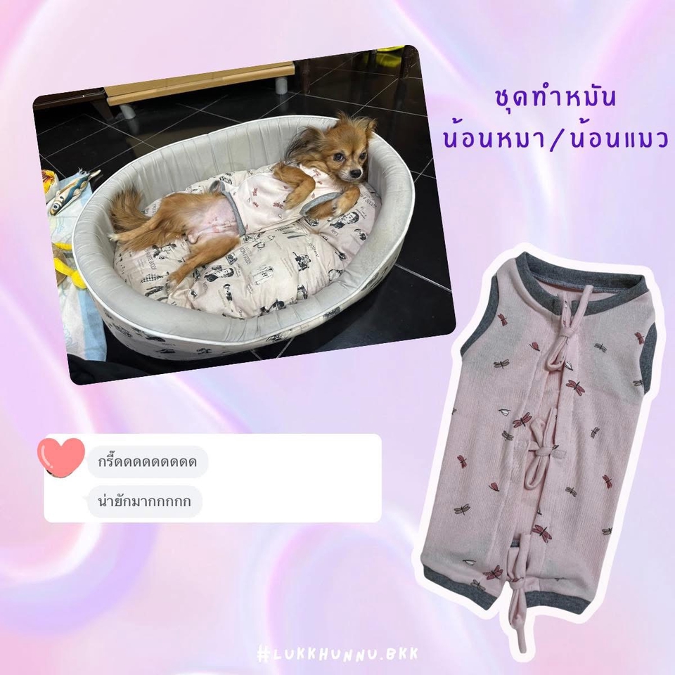 รับตัดเย็บเสื้อผ้า - ตัดเย็บเสื้อผ้าสัตว์เลี้ยง หมา,แมว,Exotic Pet สั่งตัดตามไซส์ - 4