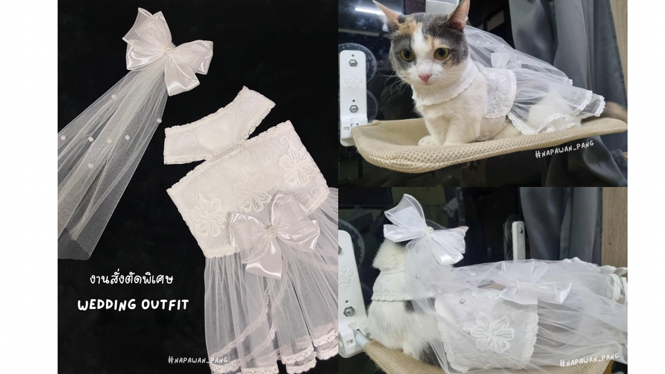 รับตัดเย็บเสื้อผ้า - ตัดเย็บเสื้อผ้าสัตว์เลี้ยง หมา,แมว,Exotic Pet สั่งตัดตามไซส์ - 2