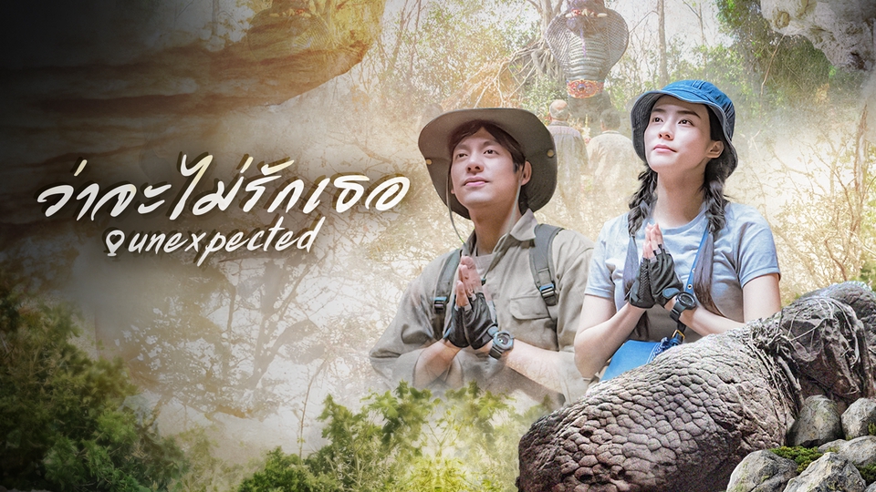 รับทำซับไตเติ้ลไทย ภาษาอังกฤษ ภาพยนตร์ unexpected