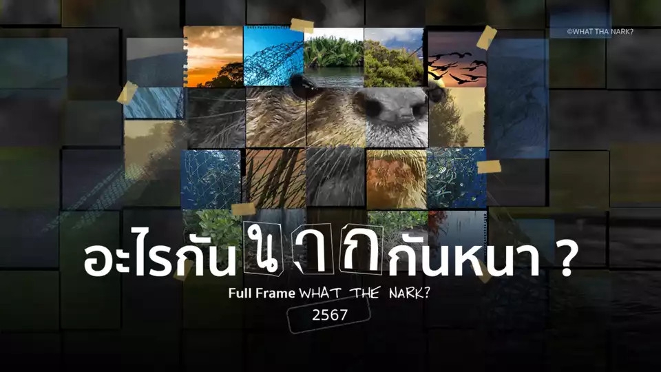 รับทำซับไตเติ้ลภาษาไทย ภาพยนตร์ 2567