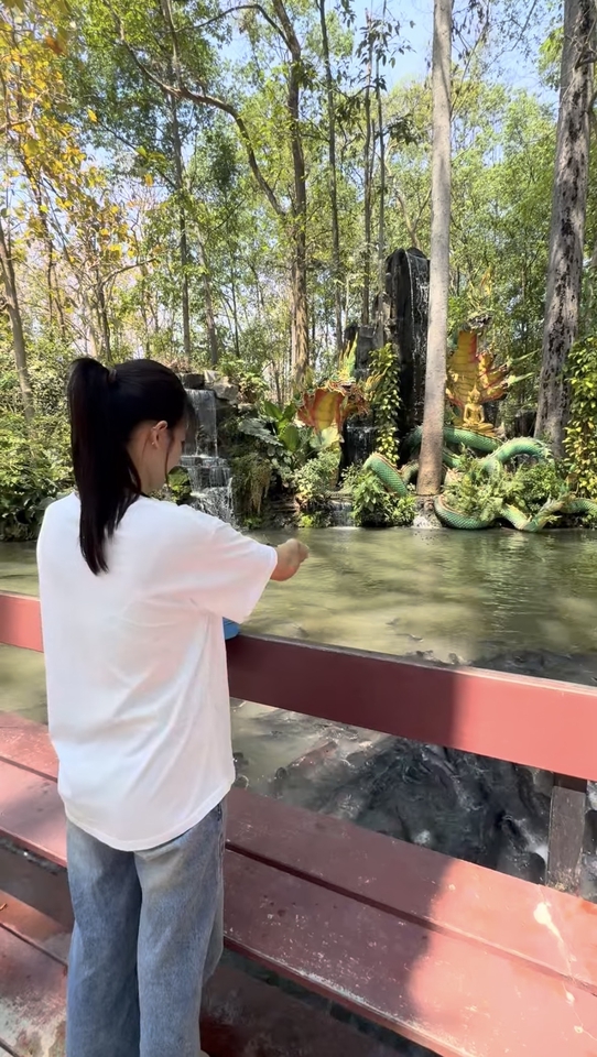 ทำบุญให้อาหารปลาแบบเม็ดในวัดสวยงาม ท่ามกลางธรรมชาติ บรรยากาศสงบร่มเย็น