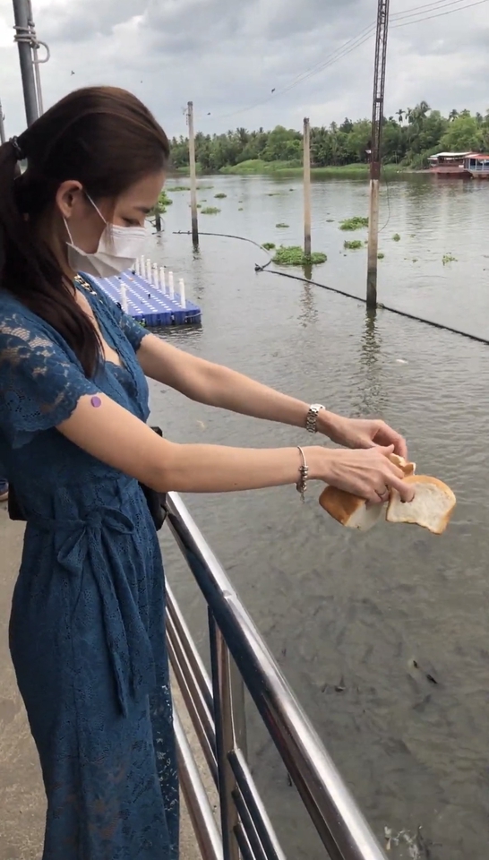 อาหารปลาแบบขนมปัง