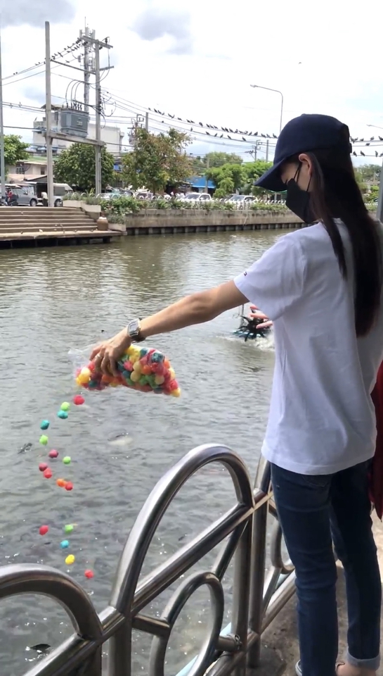 รับจ้างทำบุญให้อาหารปลาแบบขนมปังสี(เม็ดข้าวโพด)