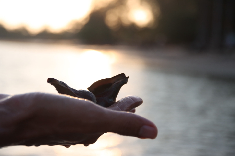 รับถ่ายภาพมืออาชีพ ช่างภาพฟรีแลนซ์ บริการถ่ายภาพคุณภาพสูง