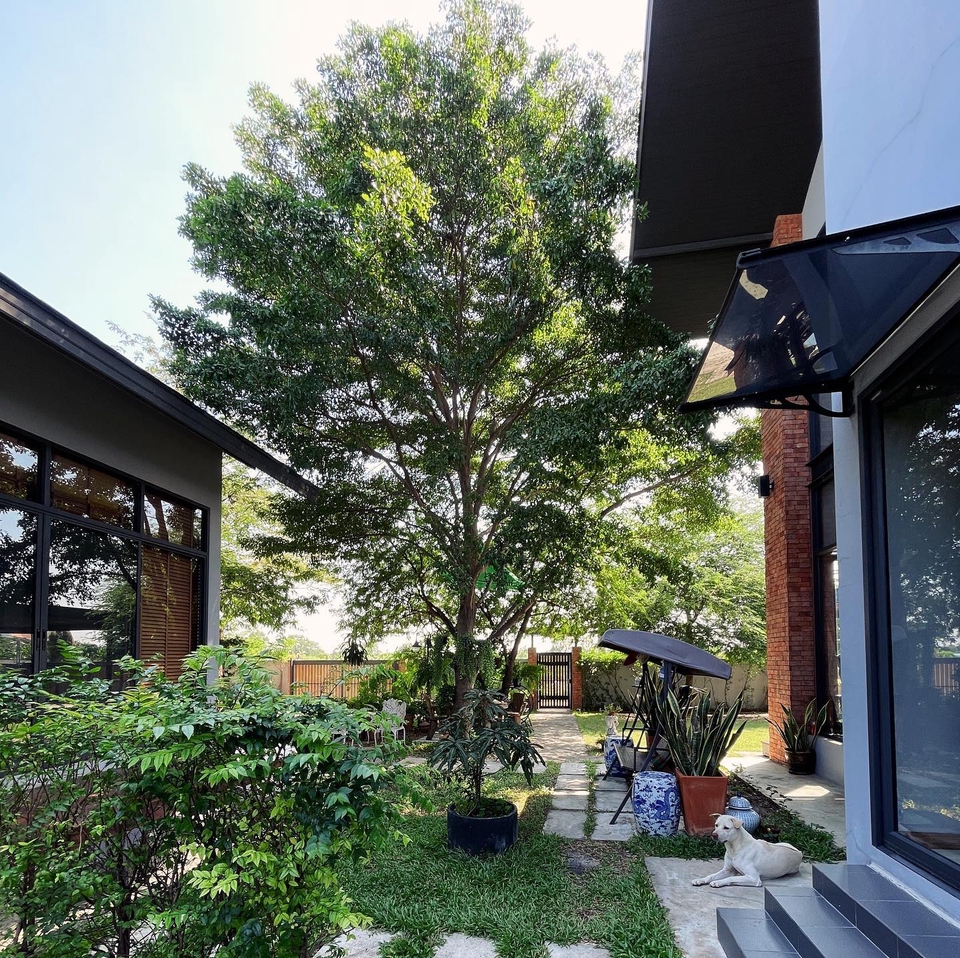 สตูดิโอให้เช่า - ห้องซ้อมดนตรี Brick Studio | Music Rehearsal Room สมุทรปราการ - 11