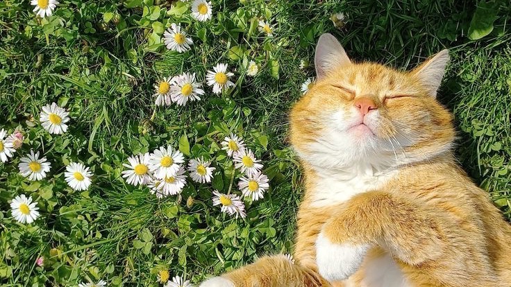 เค้าเป็นผู้ฟังที่ดี พร้อมรับฟังปัญหาของทุกคน /เป็น extrovert เข้ากับคนอื่นได้ง่ายค่ะ