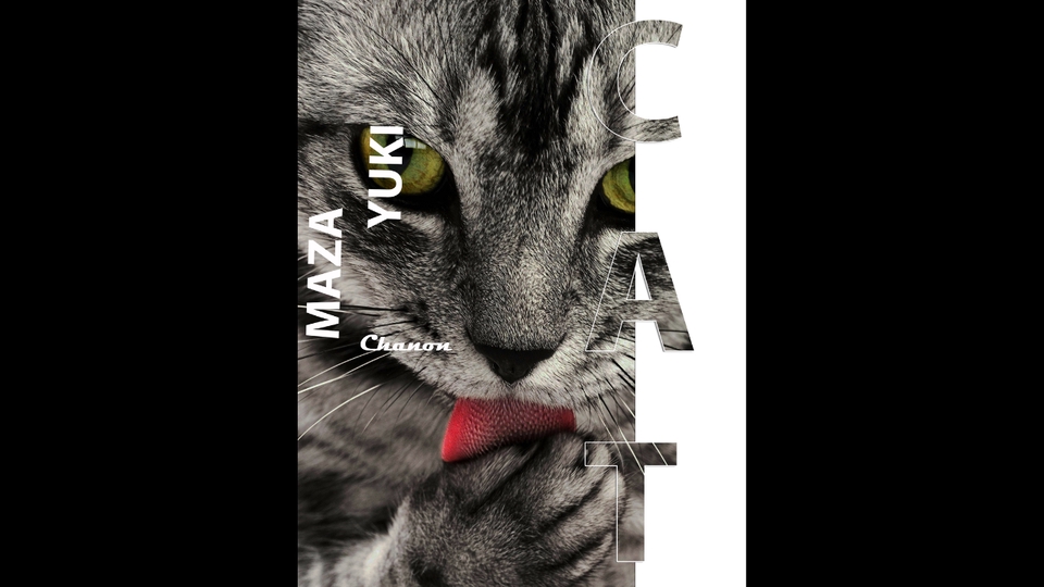 รับทำโปสเตอร์คุณภาพสูง ภาพแมวน่ารัก พิมพ์โปสเตอร์ราคาประหยัด