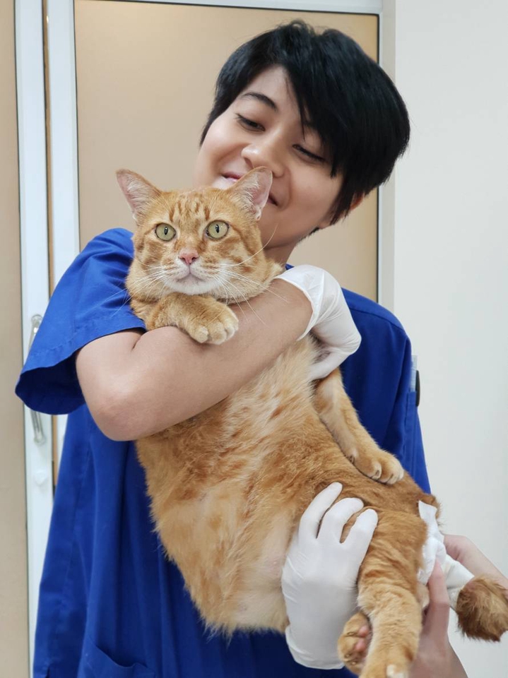 รับดูแลแมวที่บ้าน บริการพี่เลี้ยงแมว ดูแลแมวสุขภาพดี