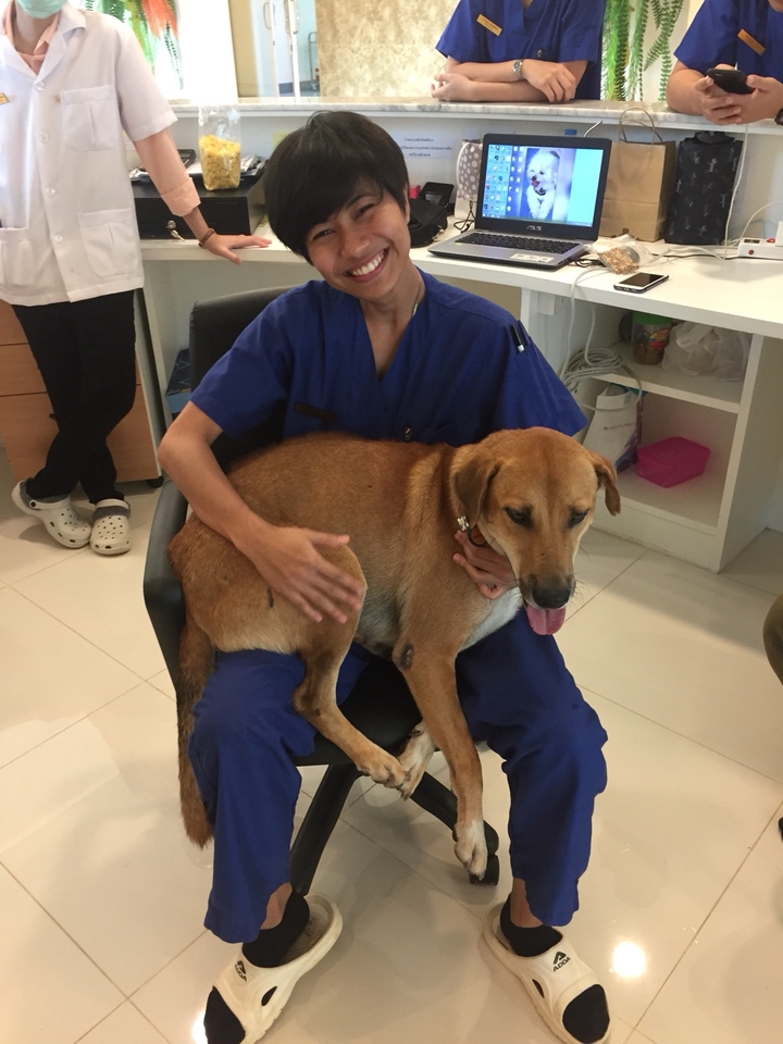 รับดูแลสุนัขที่บ้าน ดูแลสัตว์เลี้ยง พี่เลี้ยงสัตว์