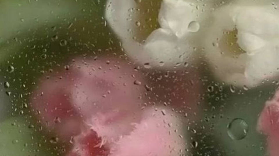 รับจ้างทั่วไป