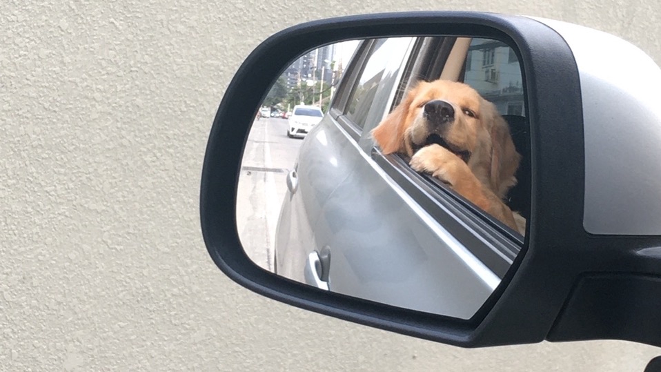 ให้คำปรึกษา รับฟังปัญหา เล่นเกม แนะนำการทำ resume และอื่นๆ