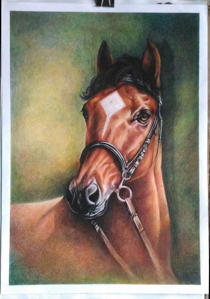 วาดภาพเหมือนม้าสีน้ำตาลสวยงาม