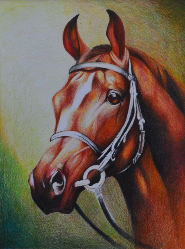 วาดภาพเหมือนม้าสีน้ำตาลอ่อนสวยงาม