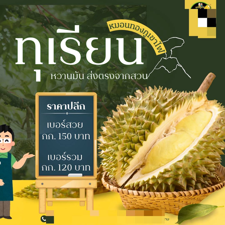 ออกแบบcanvaโปสเตอร์มังคุดสด