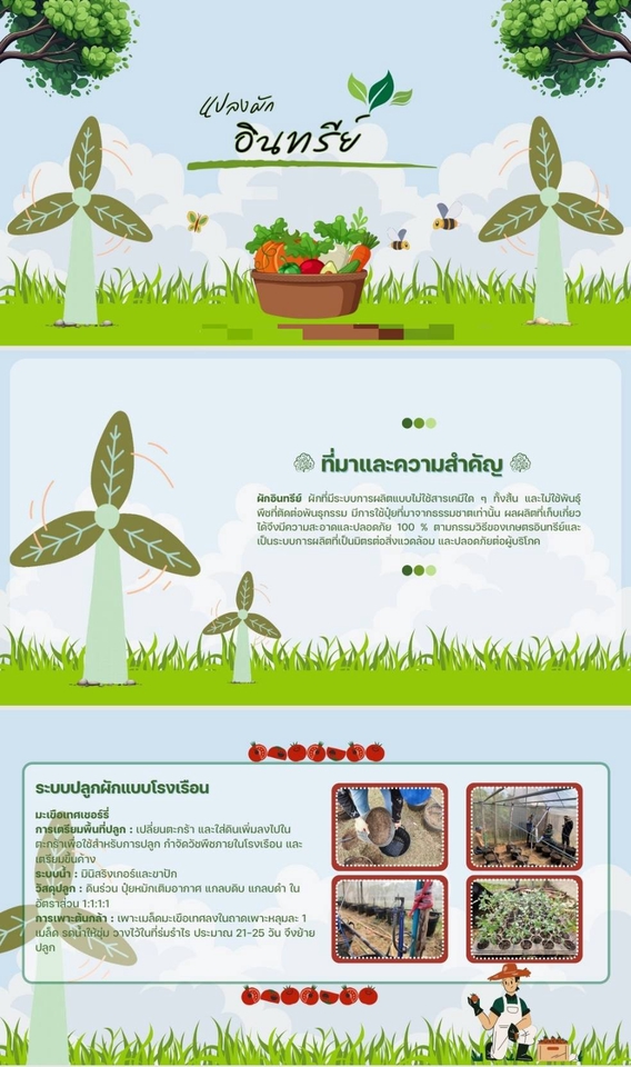 ออกแบบCanvaโปสเตอร์ผักอินทรีย์