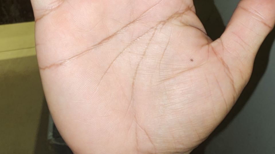 ดูลายมือแม่นๆ