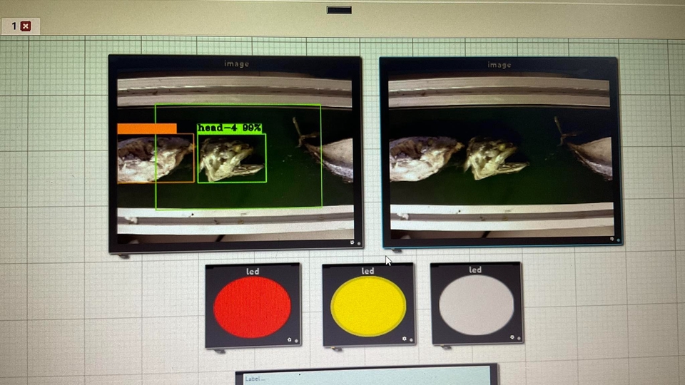 เขียนโปรแกรมตรวจจับวัตถุประมวลผลภาพปลา Image Processing