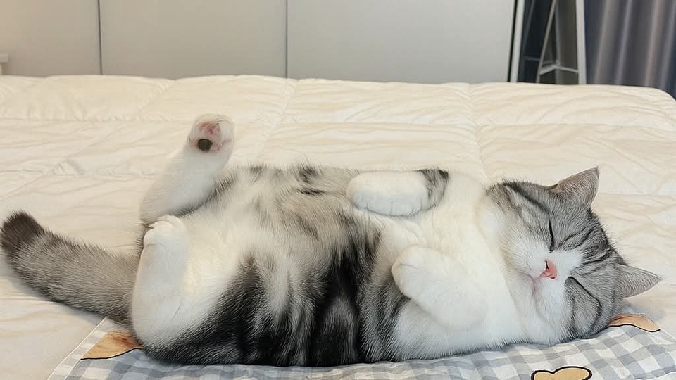 ฝากเลี้ยง ้พื่อคนรักของคุณได้