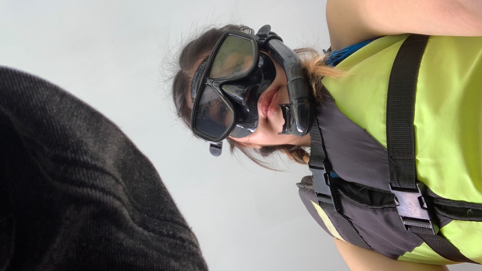 ดำน้ำ ทะเล ปะการัง เรือ