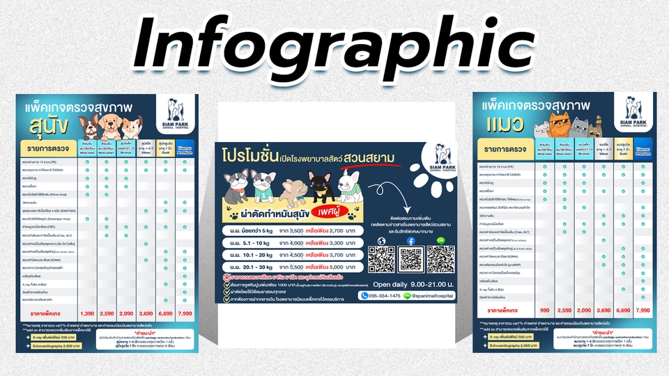 Infographics - ออกแบบ Infographic สินค้า/ธุรกิจ ออกแบบเข้าใจง่าย ภาพสวย งานไว - 8