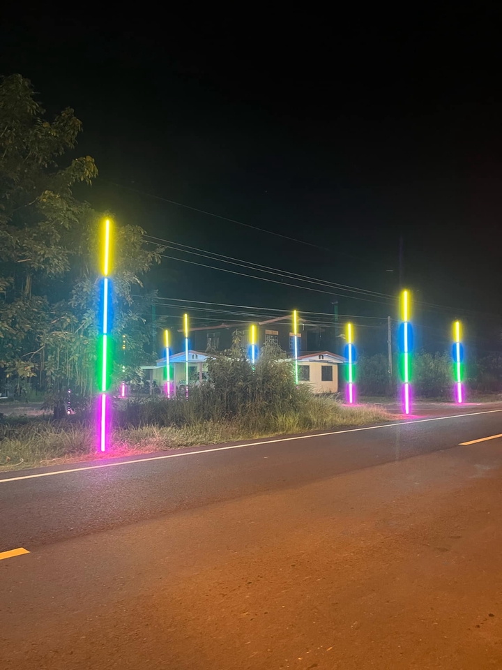 รับจัดเลี้ยงนอกสถานที่ - ไฟประดับ - 20