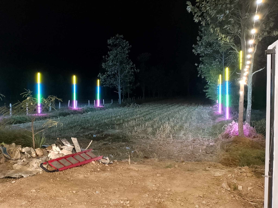 รับจัดเลี้ยงนอกสถานที่ - ไฟประดับ - 11