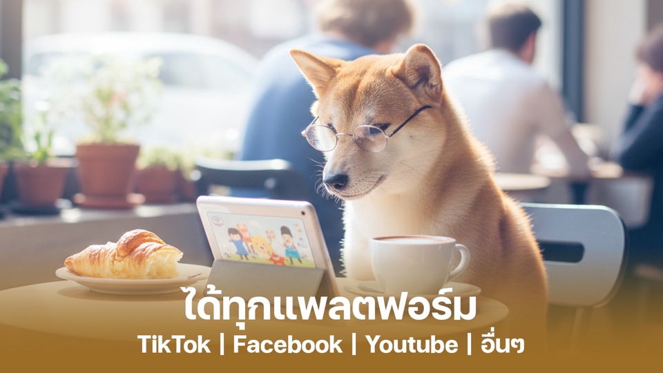 รับทำคอนเทนต์มาร์เก็ตติ้งครบวงจร TikTok Facebook YouTube
