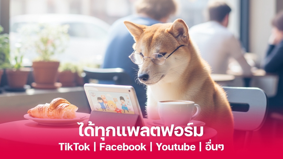 รับทำคอนเทนต์มาร์เก็ตติ้งครบวงจร TikTok Facebook Youtube