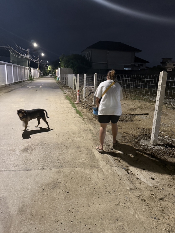 รับจ้างทำบุญออนไลน์ บริการทำบุญแทน ใส่บาตร ช่วยเหลือสังคม